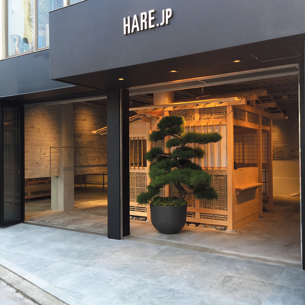 「HARE.JP」の店舗エントランスには「GD lab.」で研究開発した土壌を用いた盆栽を設置。室内空間での管理が難しい松を用いている