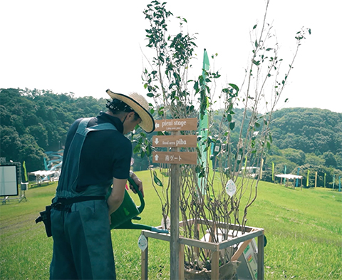 休耕地のオチャノキに新たな価値を見出す「オチャノキプロジェクト」。植栽としても魅力的なオチャノキは、プロジェクトのコンセプトに共感をした店舗やイベントでの導入が進んでいる